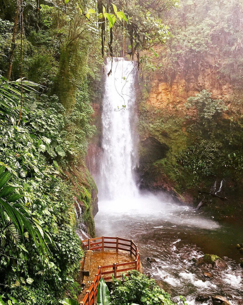 Magia Blanca waterfall dropping into a forest pool beside a wooden viewing platform