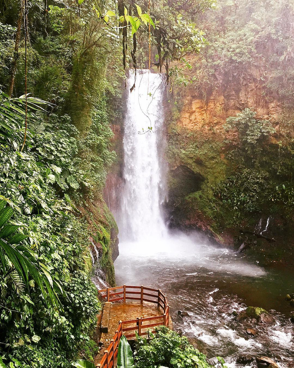 Magia Blanca waterfall dropping into a forest pool beside a wooden viewing platform