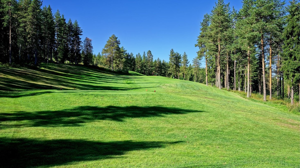 A rising grass fairway between tall conifers, crossed by long tree shadows.