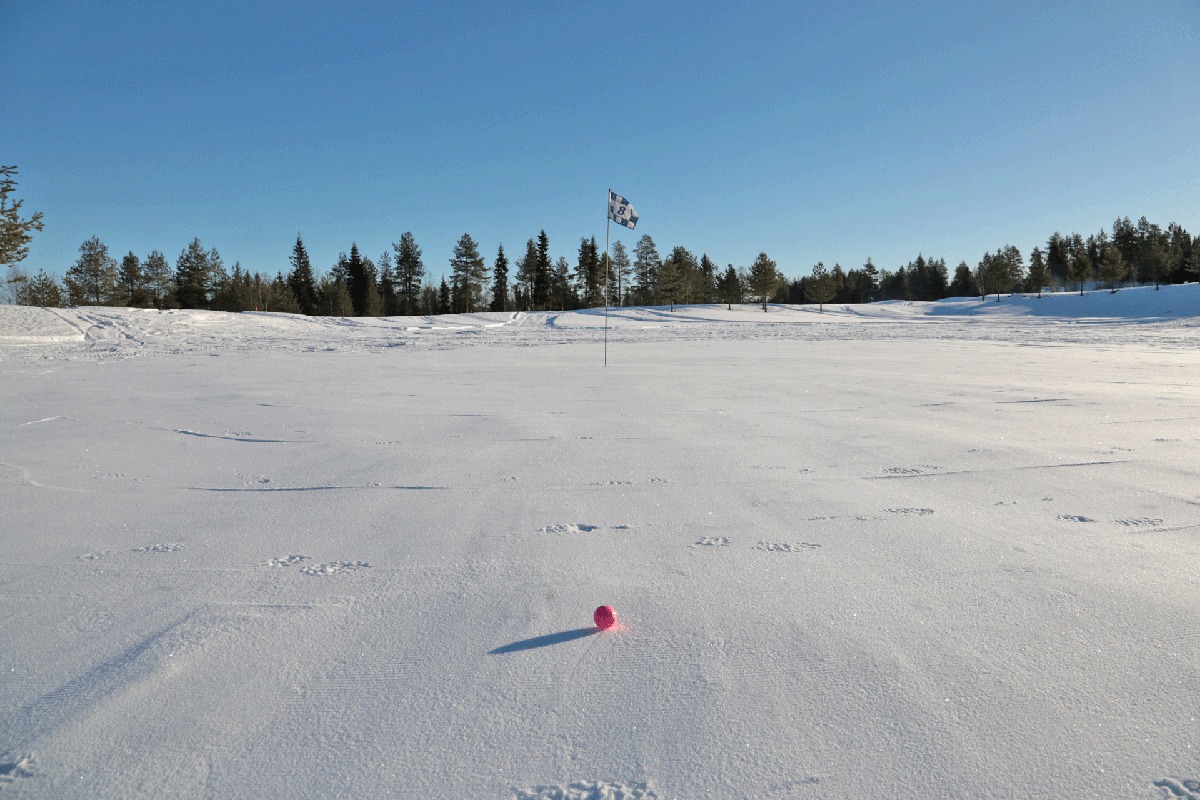 A pink golf ball on a snow putting surface, with a numbered flag and pine forest beyond.