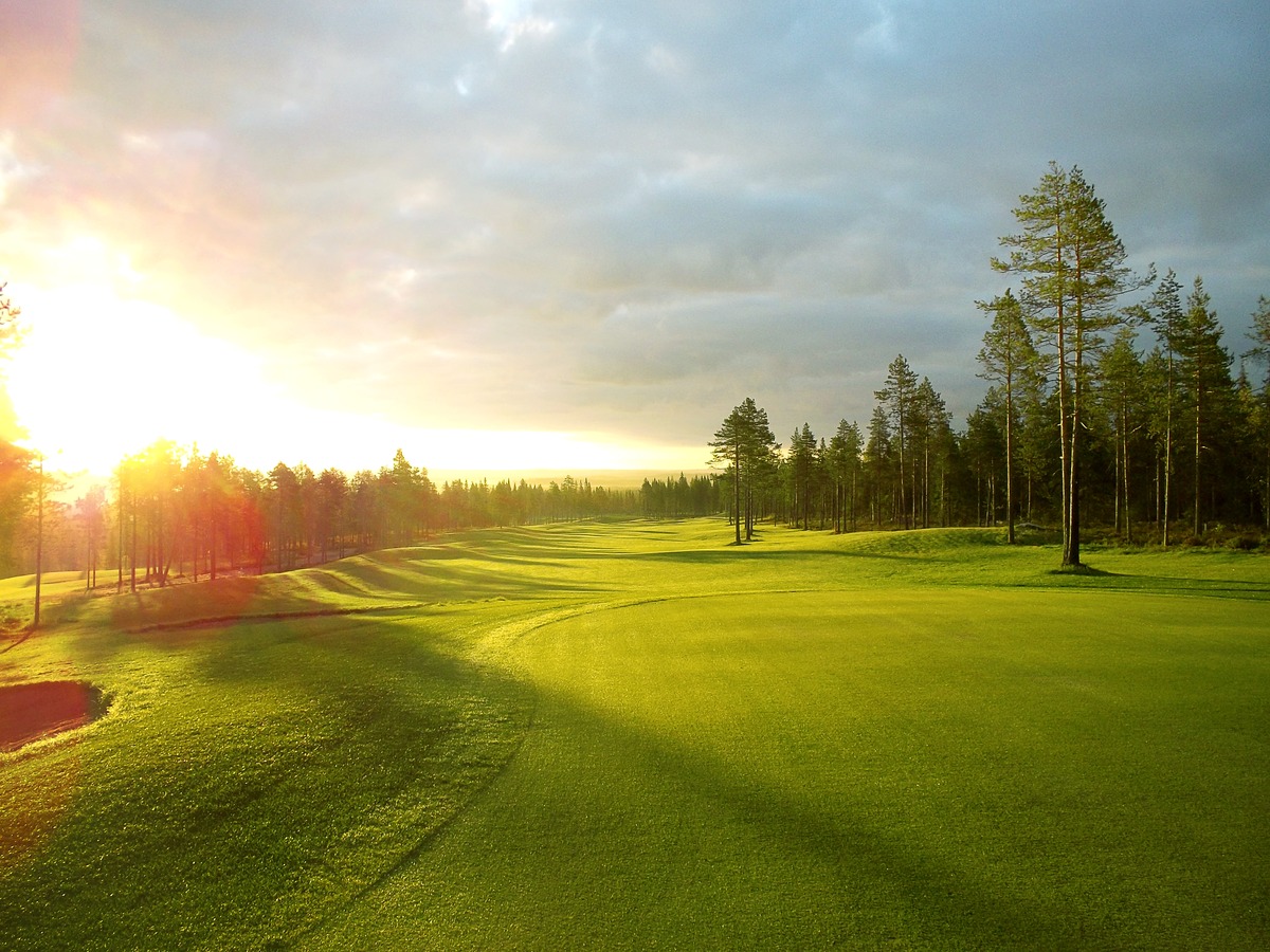 Low sunlight falls across an undulating fairway surrounded by pine trees.