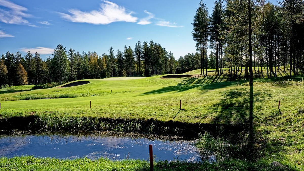 A pond in front of a raised green with two sand bunkers and pine trees.