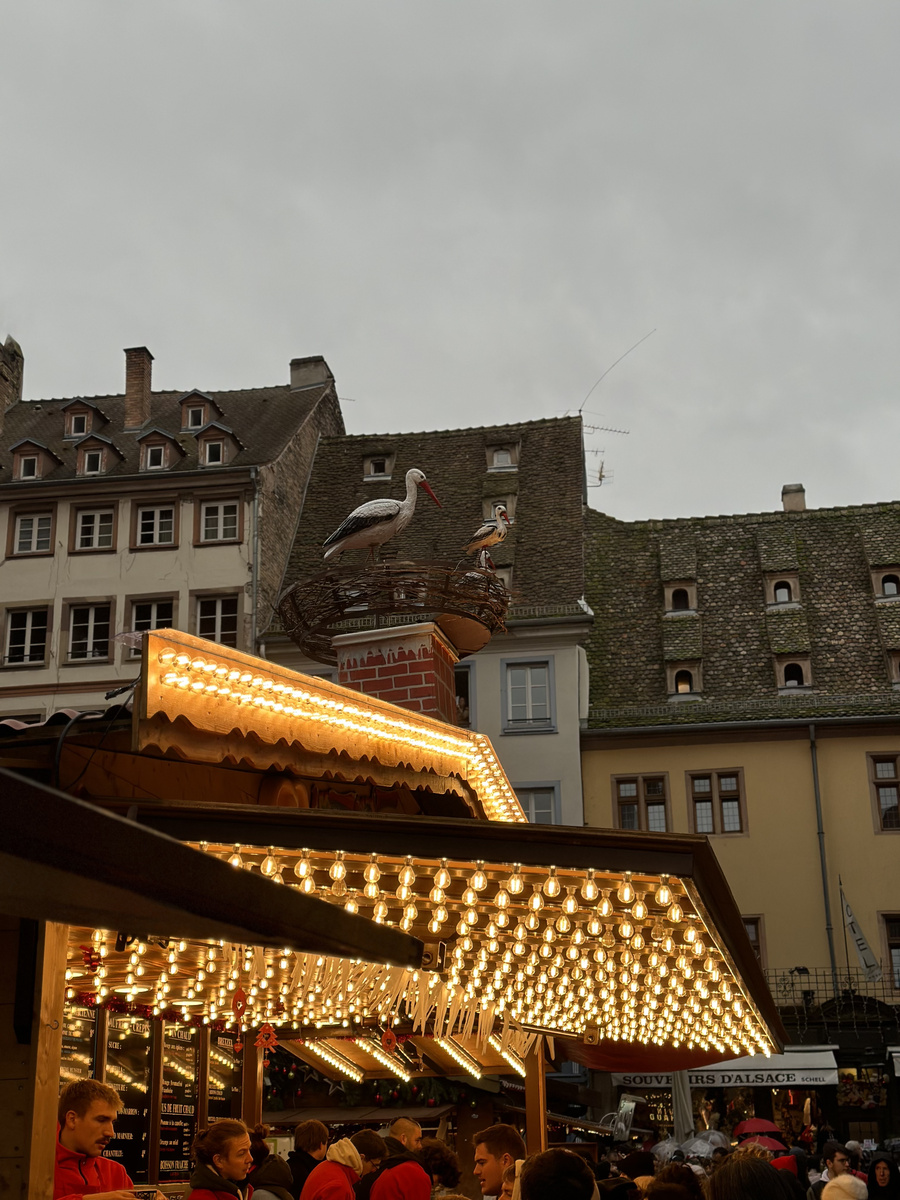 Illuminated market stalls, stork ornaments and tiled roofs on Strasbourg’s cathedral square.