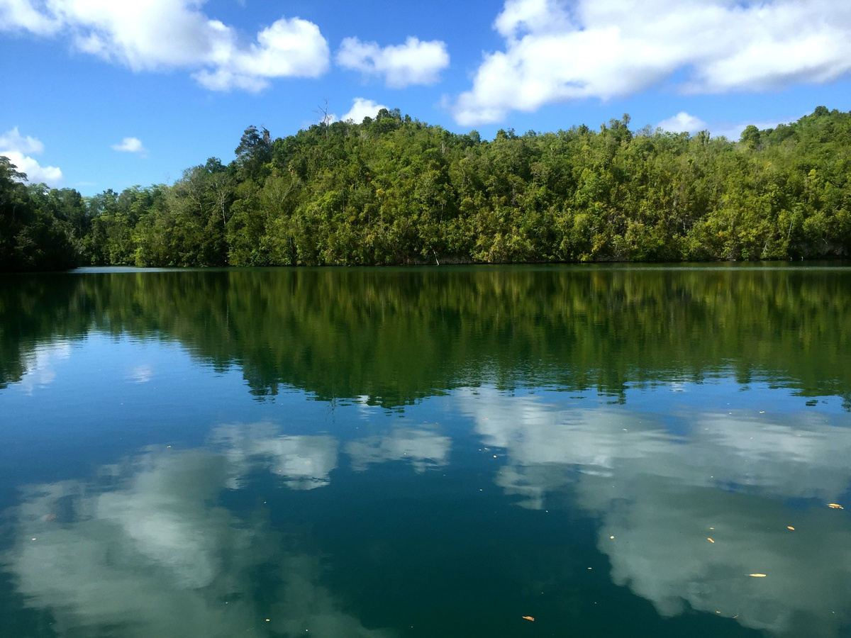 A still lake ringed by dense green forest, with white clouds reflected in the water.
