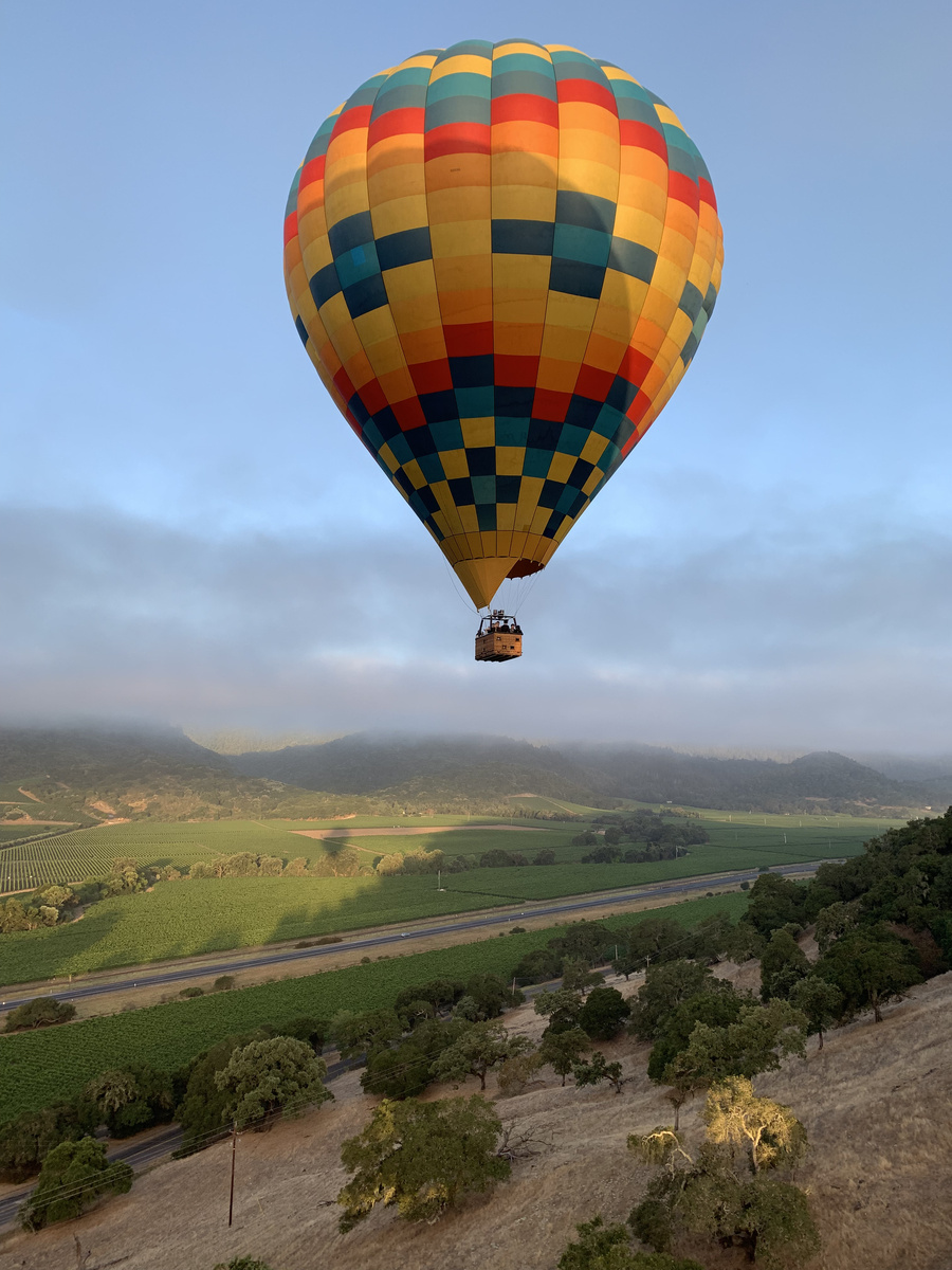 A colourful hot-air balloon floating above vineyards and hills in Napa Valley.